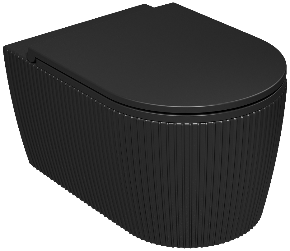 Sintesi Asma Klozet Siyah - VORTEX 