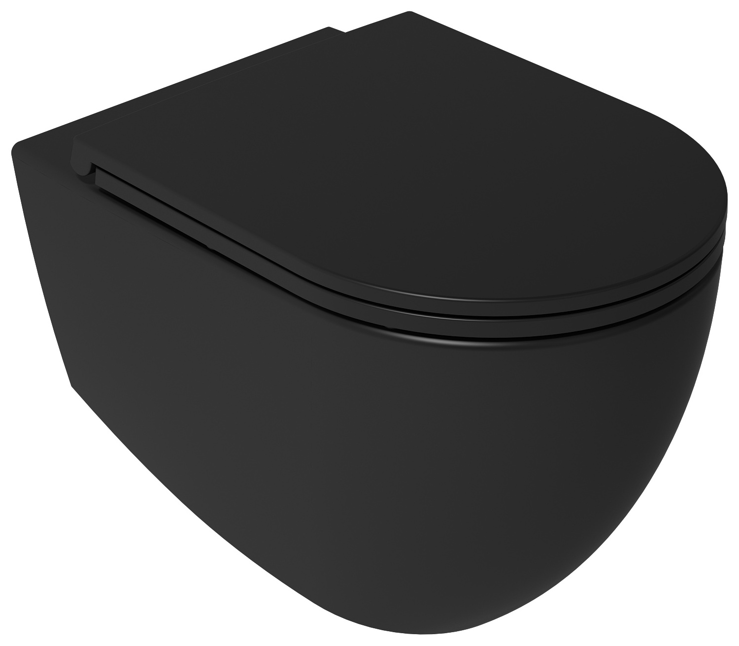 Infinity Clearim Plus Asma Klozet Siyah