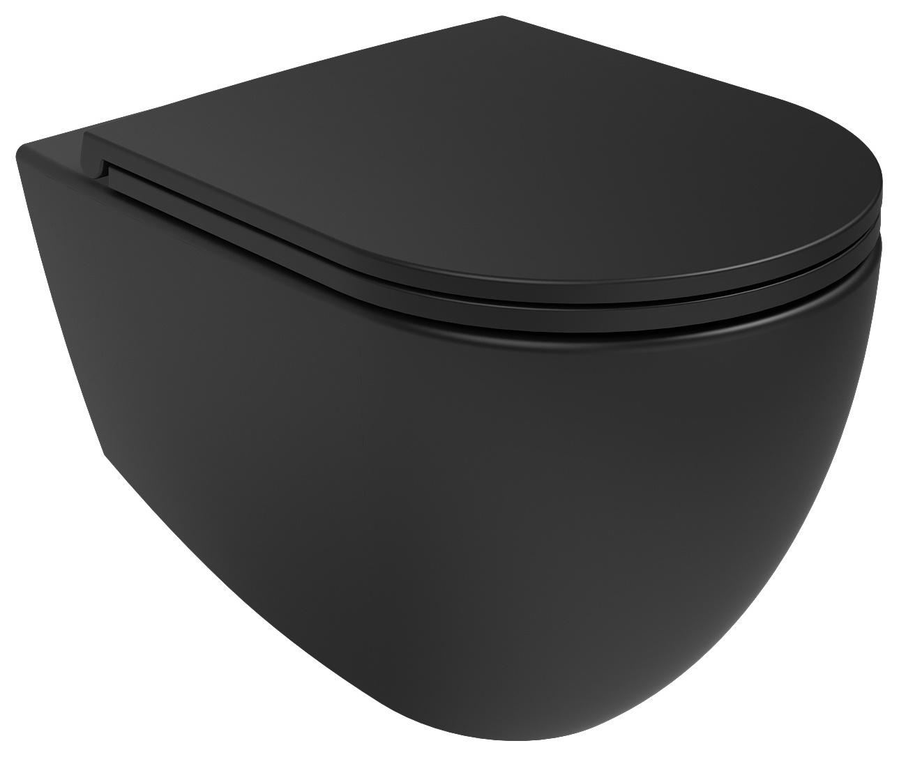 Infinity Clearim Plus Asma Klozet Siyah