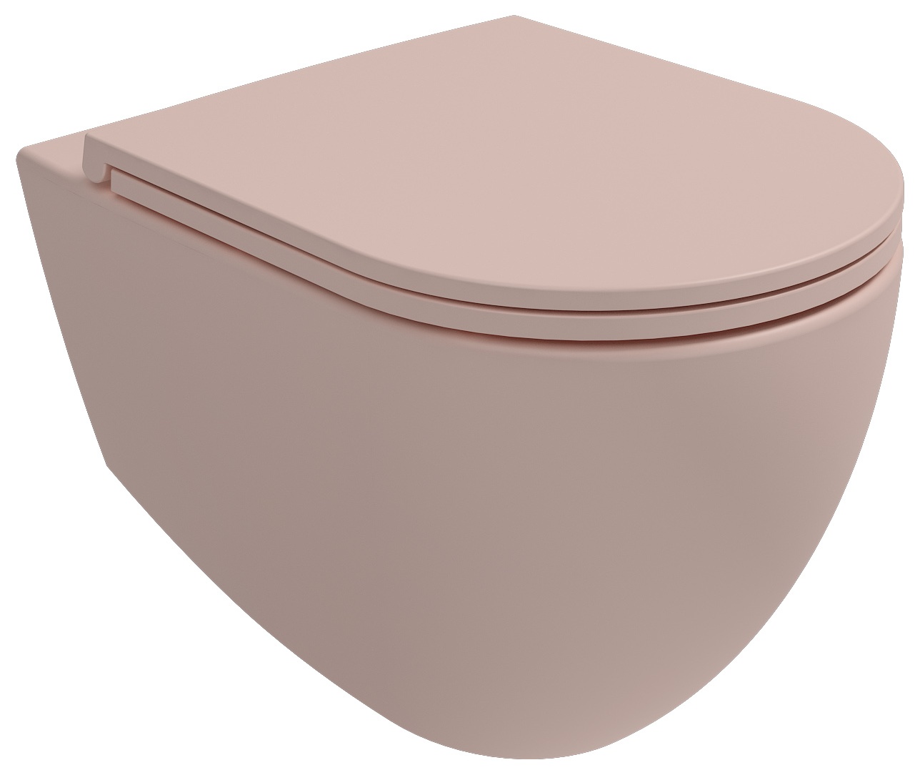 Infinity Clearim Plus Asma Klozet Somon